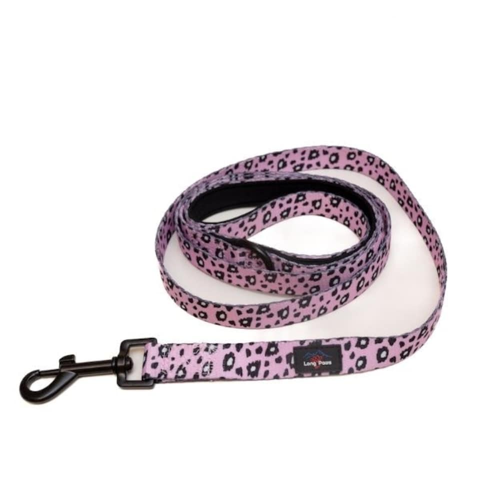 Long Paws - Funk the Dog Lead-Pink Leopard Medium