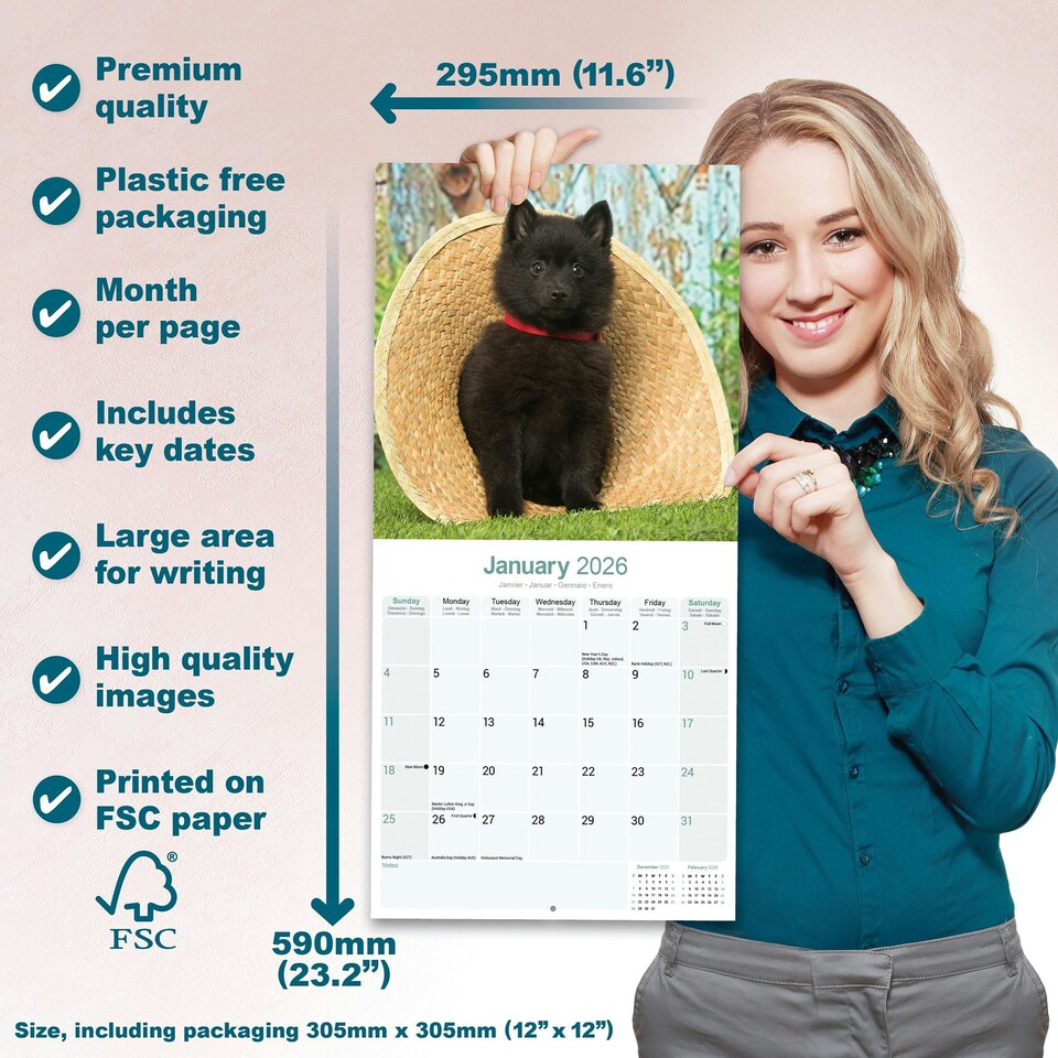 image 1 of Schipperke 2026 Calendar | Square Wall Calendar | Dog Breed Gift | Plastic Free Packaging | by Avonside Publishing