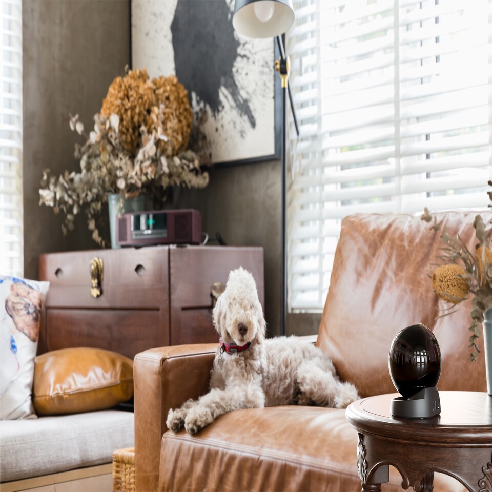 image 1 of IMOU Rex 3D 2K Indoor Cam- Indoor Pan & Tilt Smart Wi-Fi Plug-In Security Camera