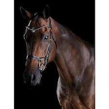 Collegiate Comfitec Crystal Leather Bridle - Brown - Warmblood