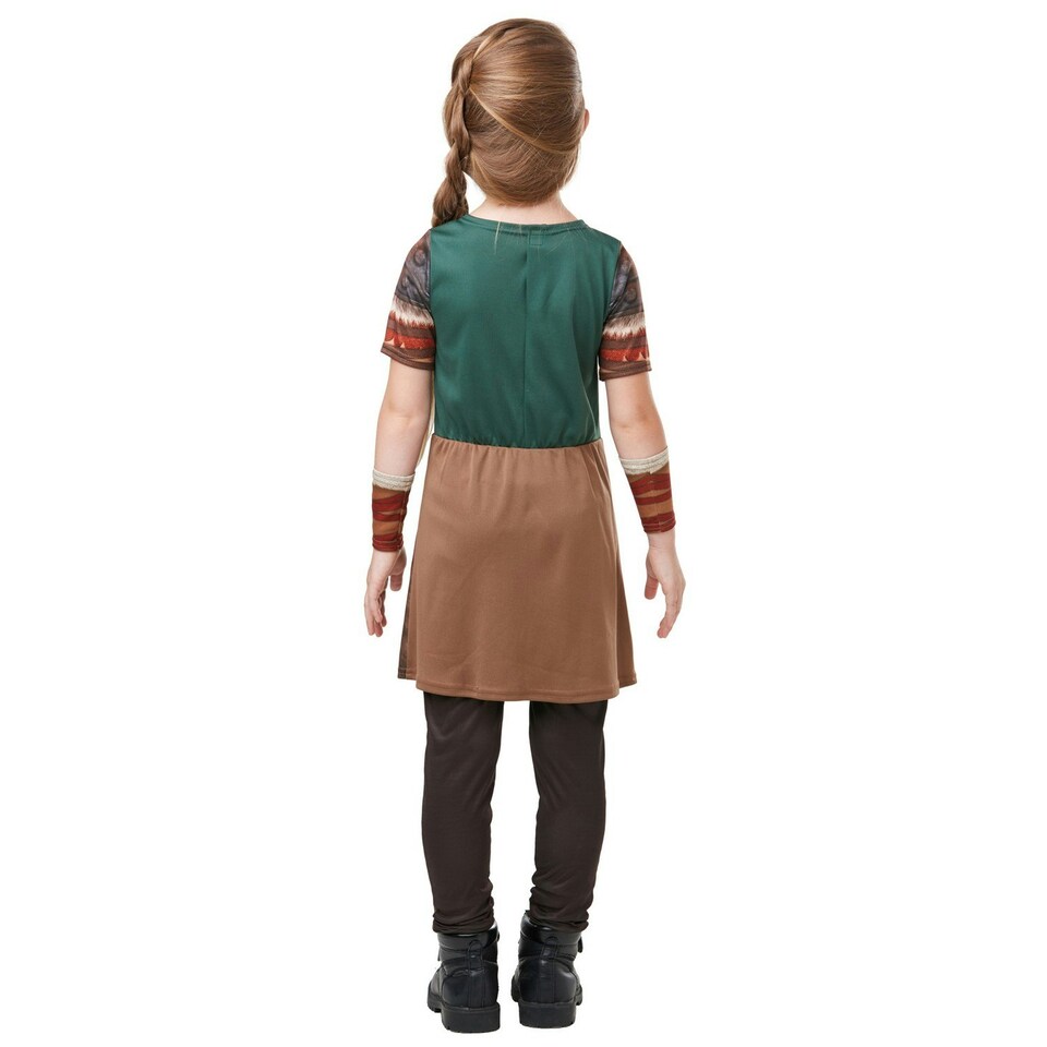 image 1 of How To Train Your Dragon Girls Astrid Costume - Brown/Blue - 5-6 Years 5