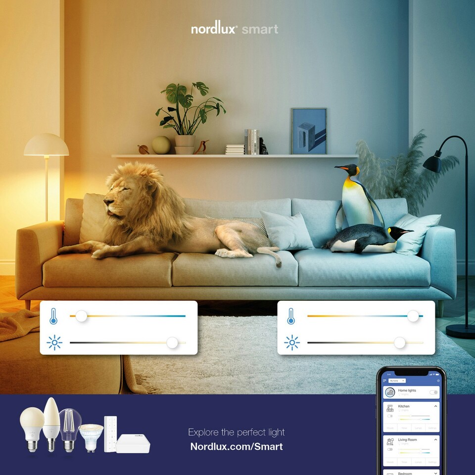 image 1 of Dorado Smart | Downlight | Black
