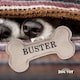 image 2 of History & Heraldry Pre-Personalised Squeaky Bone Dog Toy - Buster