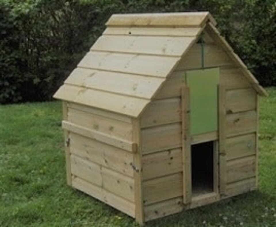 image 1 of Campbell Duck House - up to 6 Ducks, Quality pressure treated timber waterfowl house, aylesbury, Indian runner, call ducks. | Brown | One Size