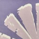 image 4 of Fusion Alma Cushion Cover Lilac