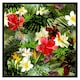image 2 of Tropical foliage (Picutre Frame) Brown | Oak | XS