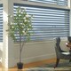 image 2 of Living and Home Artificial Frangipani Blossom Tree in Pot - 160cm