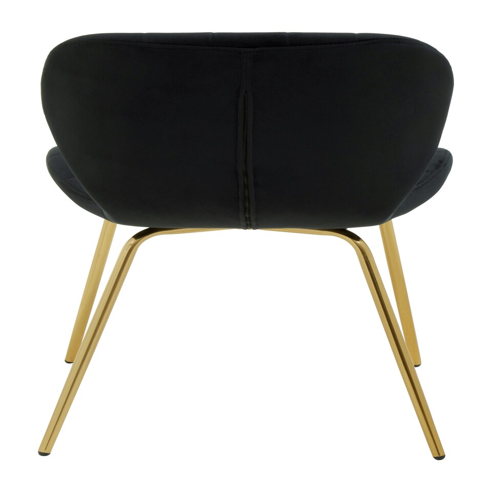 image 1 of Interiors by Premier Black Velvet Dining Chair, Luxury Dining Chair, Modern Black Velvet Dining Chair with Gold Finished Legs