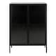 image 2 of Newcastle Low 2 Door Display Cabinet in Matt Black
