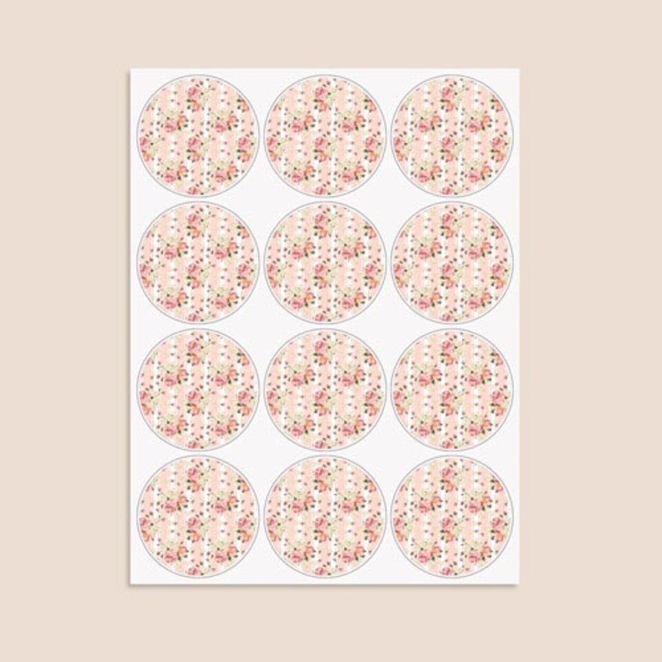image 1 of Floral Baby Pink Stripes Round Stickers 60mm - Sheet of 12