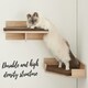 image 1 of NOVECRAFTO Wall-Mounted Cat Perch Bed with Cushion – 50cm Wide Space-Saving Shelf – Sturdy Wall Bed Holds up to 30kg – Cozy Lounging Spot for Cats