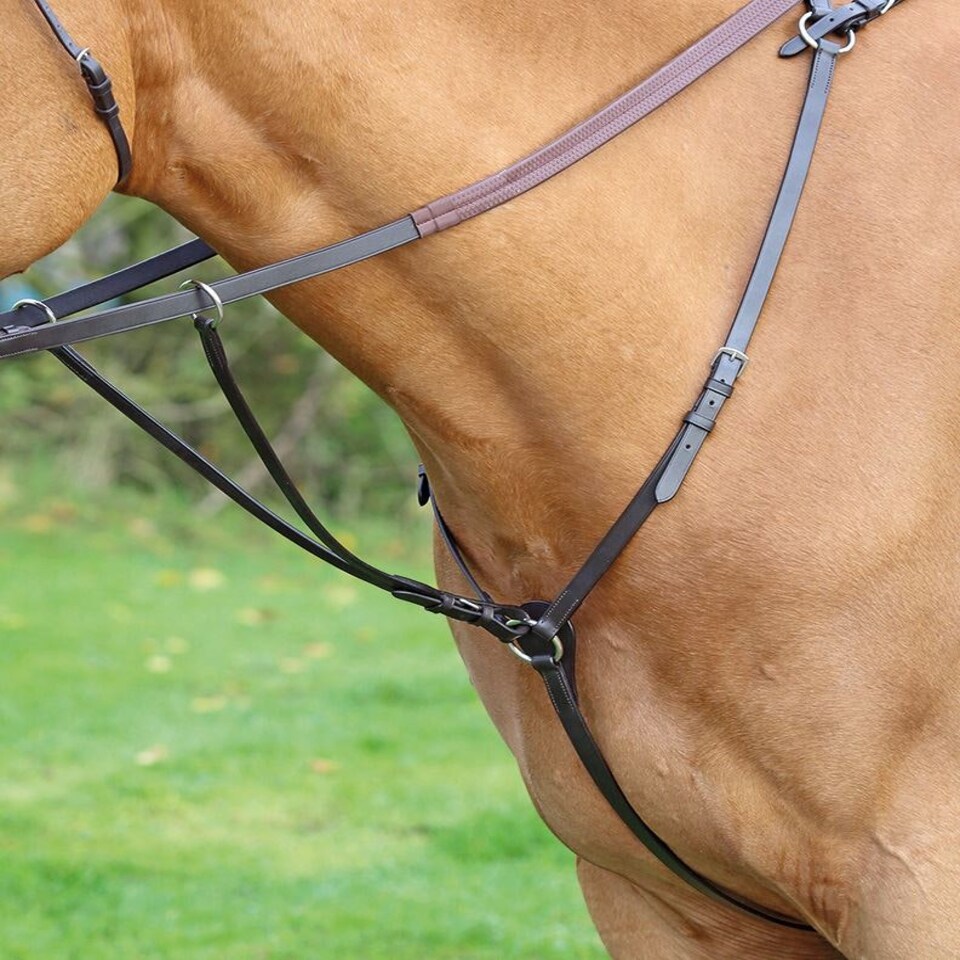 image 1 of Shires Aviemore Hunt Weight Breastplate Black | Size: Pony
Colour: Black