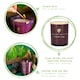 image 2 of Nicola Spring Soy Wax Scented Candles - 130g - Cinnamon & Orange - Pack of 3 | Purple | Purple