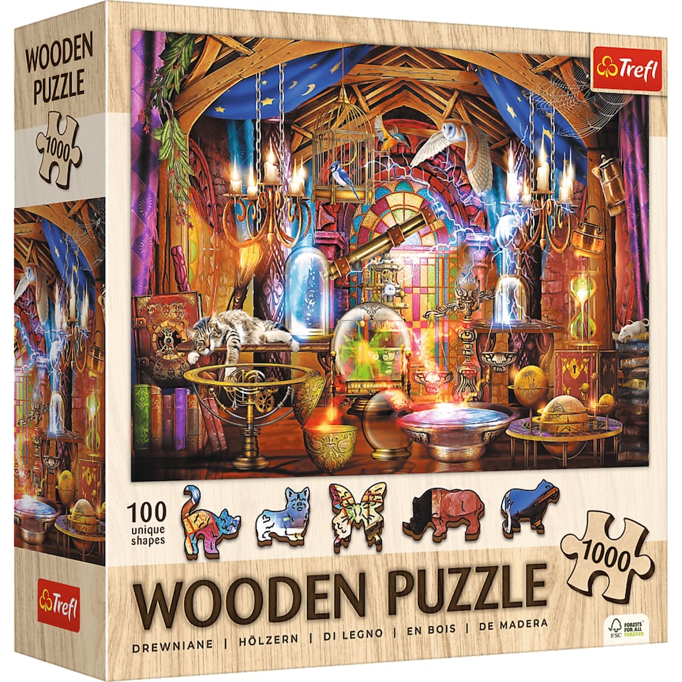 Trefl Magical Chamber 1000 Piece Puzzle