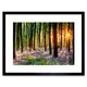 image 1 of Bluebell Wood Sunrise Tree Living Room Home Decor 12x16" Framed Wall Art Print