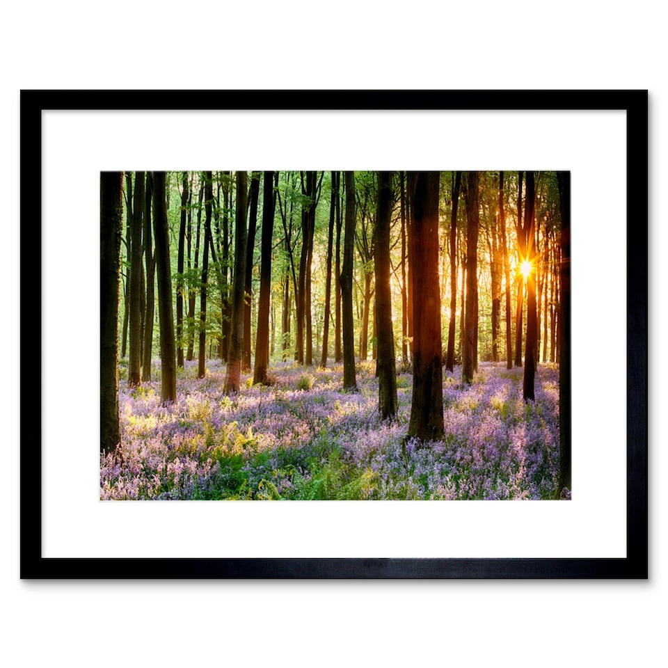image 1 of Bluebell Wood Sunrise Tree Living Room Home Decor 12x16" Framed Wall Art Print
