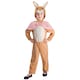 image 3 of Peter Rabbit Childrens/Kids Flopsy Classic Costume | Brown | Brown/White/Pink | 1-2 years | 1