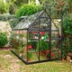 image 3 of Greenhouse Harmony 6 x 10 - Polycarbonate - L306 x W185 x H208 cm - Grey