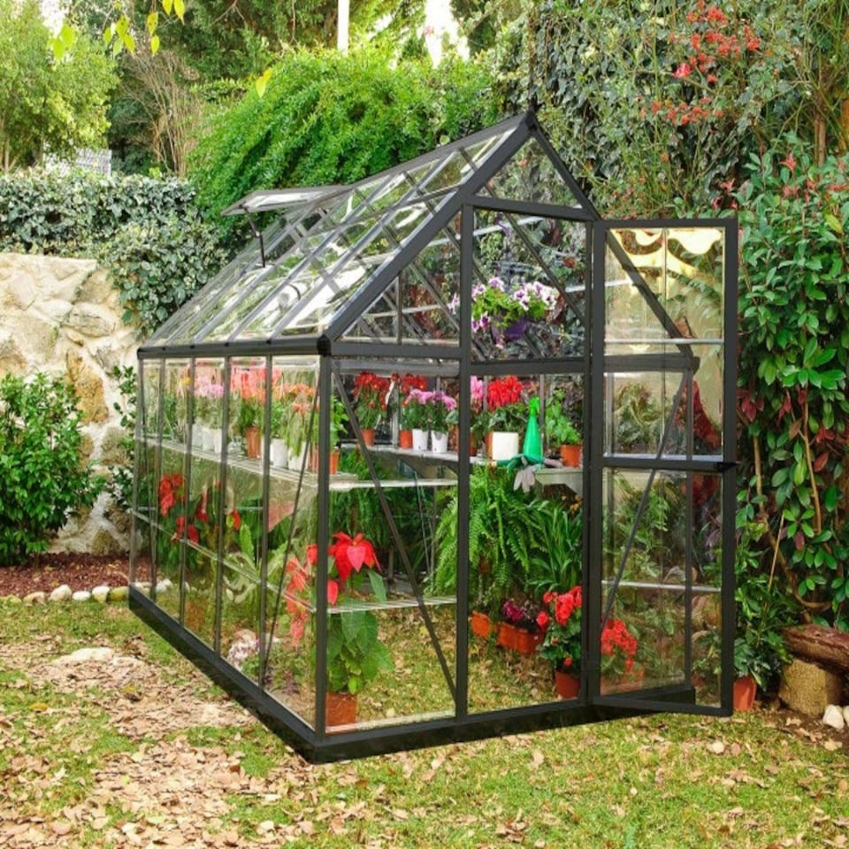 image 1 of Greenhouse Harmony 6 x 10 - Polycarbonate - L306 x W185 x H208 cm - Grey