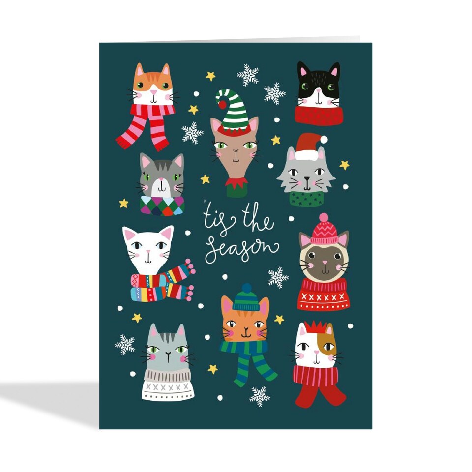 image 1 of Cute Cats in Scarves Christmas Card