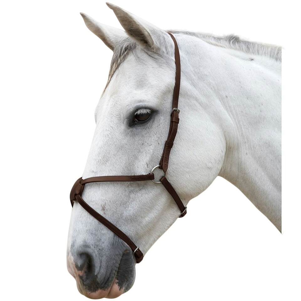 image 1 of Hy Leather Mexican Grackle Nose Band - Brown - Full