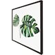 image 3 of Twin tropical leaves (Picutre Frame) White | XS