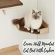image 1 of NOVECRAFTO Corner Wall-Mounted Cat Bed – Sonoma Oak Beige – Brown Cushion – 35cm Wide – Space-Saving Shelf Holds up to 30kg for Cats