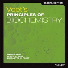 Voets Fundamentals Biochemistry