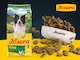image 4 of Josera Adult Festival complete dog food | For fussy dogs | Feed dry or wet for delicious gravy | Chicken & Salmon | All breed sizes | 3kg