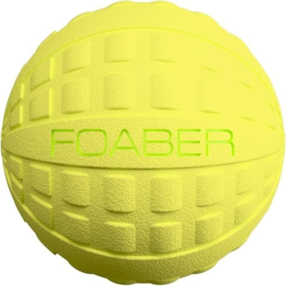 Foaber Foam and Rubber Hybrid Dog Activity Play Bounce Ball