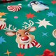 image 5 of Catherine Lansfield Christmas Icons So Soft Reversible Duvet Cover Set Green Green | Double