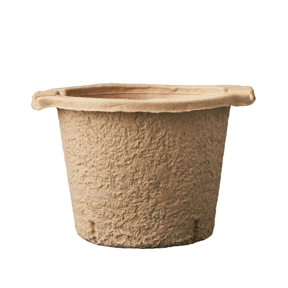 LickTools Wood Pulp Paint Kettle - Beige - 14.5cm x 20cm x 22cm