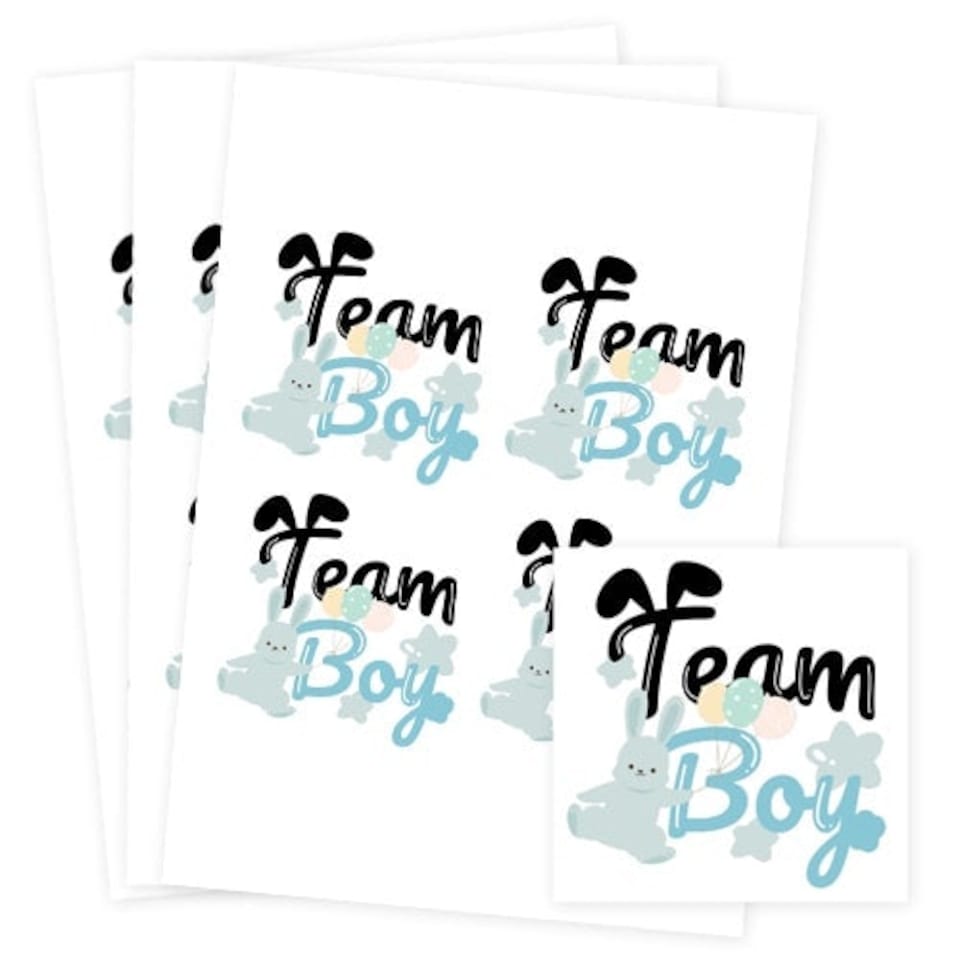 image 1 of Team Boy Bunny Gender Reveal Square Stickers 95mm - Sheet of 4