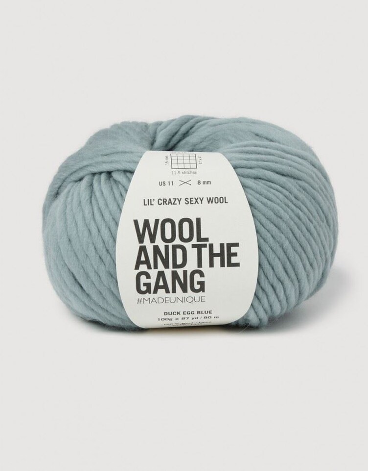 Wool and the Gang Blue Lil Crazy Sexy Wool Chunky Yarn For Crochet, Knitting - per 100 gram ball