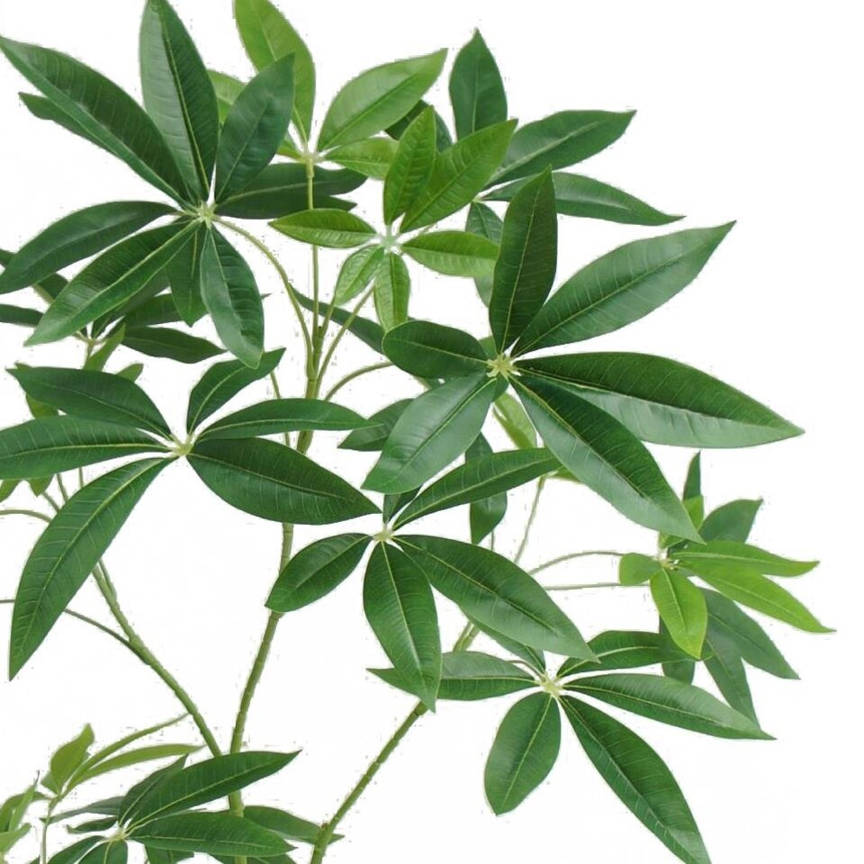 image 1 of 120cm Artificial Money Tree Pachira Realistic Faux Tree