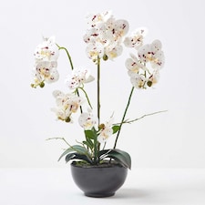Homescapes White Orchid 62 cm Phalaenopsis in Ceramic Pot Extra Large, 5 Stems
