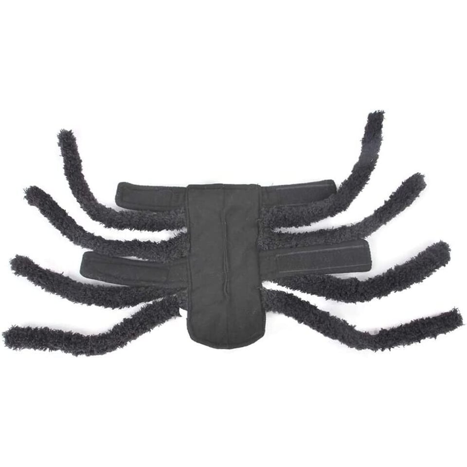 image 1 of Small Spider Pet Costume | Halloween Spider Outfit for Cats & Small Dogs