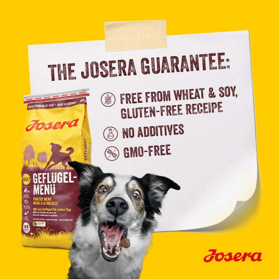 image 1 of Josera Adult All Sizes Chicken & Rice complete maintenance dog food | Lots of meat | Gluten-free | Immune Plus | Skin & Coat | Optimal digestion | 2x12.5kg pack