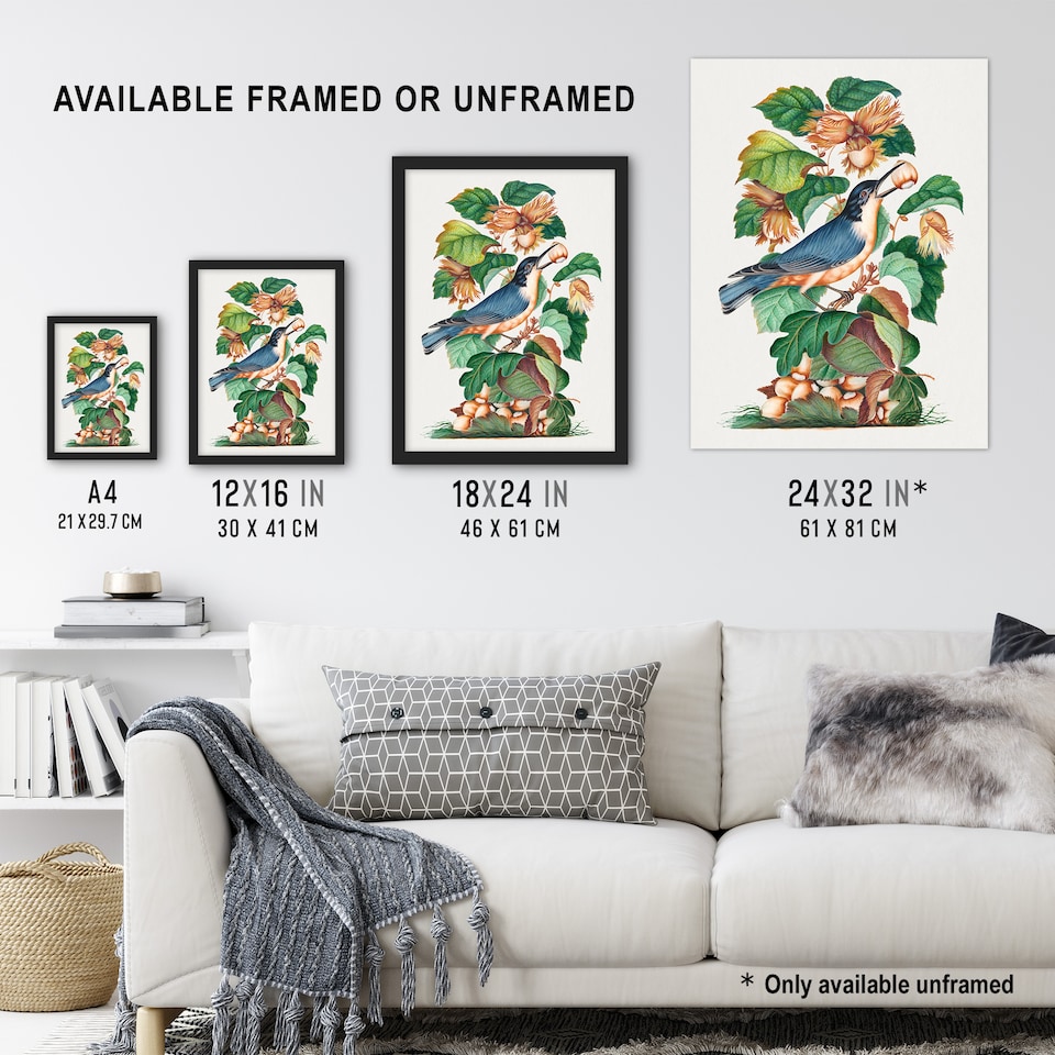 image 1 of Nuthatch Bird Hazel Oak and Bramble Bolton Huge Wall Art Poster Print