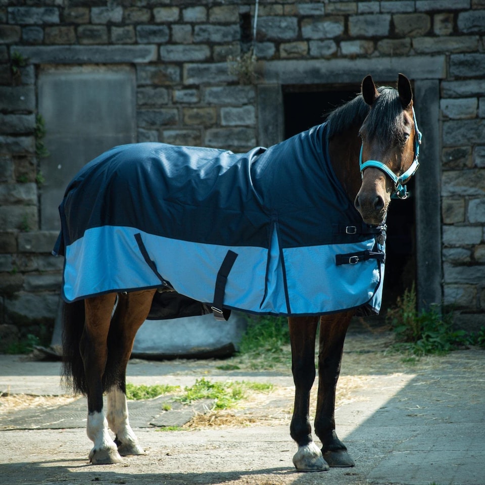 image 1 of eQuitack 600D Waterproof Horse Turnout Rug 0g No Fill Half Neck Navy/Baby Blue 5'9''