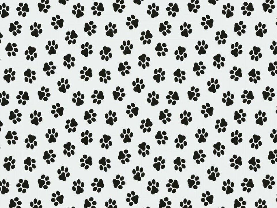 Cream 100% Cotton Poplin Fabric for Dressmaking, Quilting, 150cm / 59" Wide - per metre