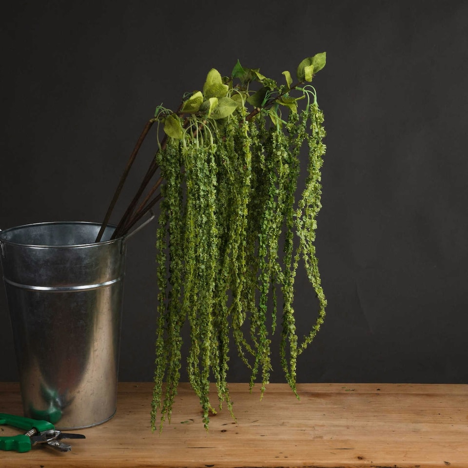image 1 of Hill Interiors Faux Amaranthus - Green - 1m
