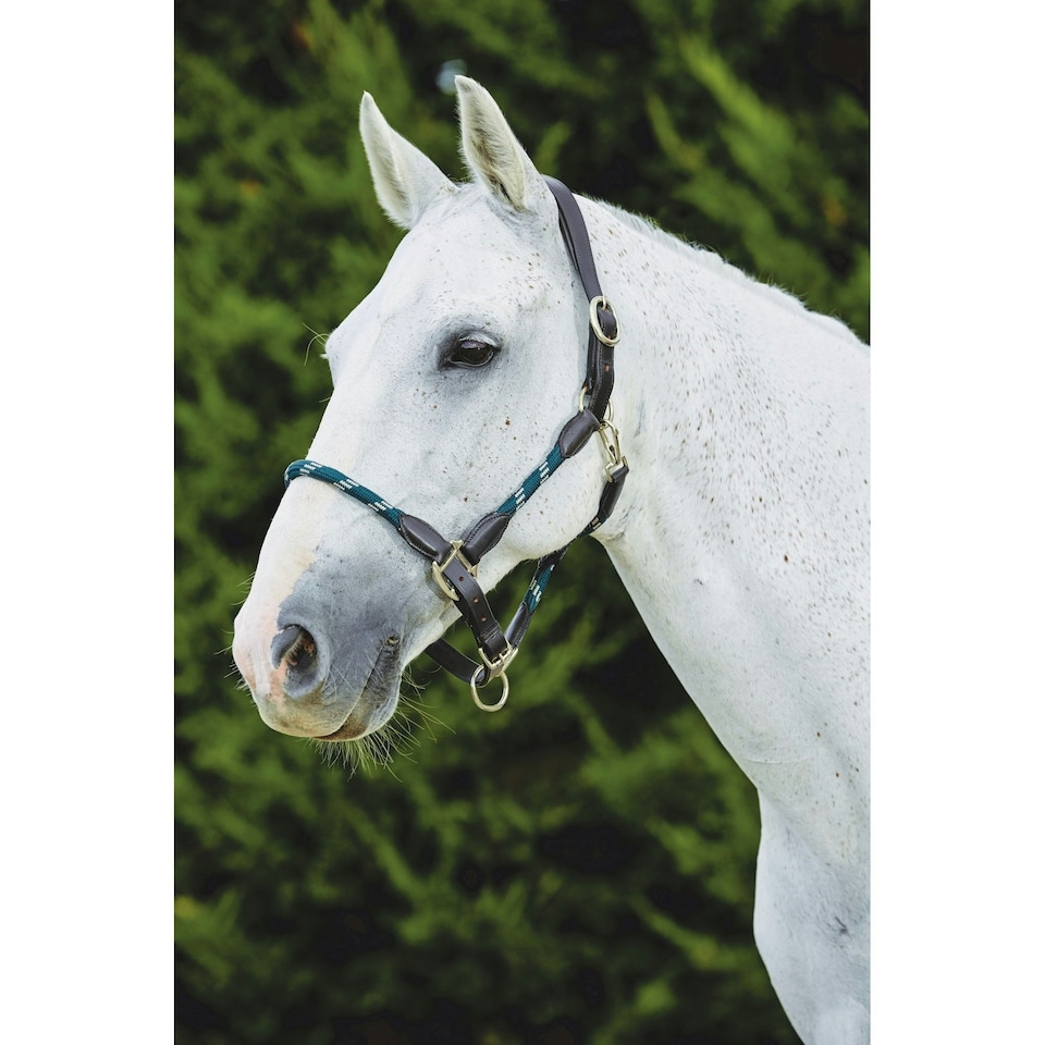 image 1 of Kincade Leather Rope Headcollar - Hunter Green/Brown - Full