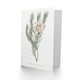 image 2 of Francis Sansom Dagger Leaf Sugarbush Flower Bloom Art Greeting Card