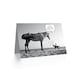 image 2 of Zebra Horse Pun Speech Bubble Joke Funny Birthday Card