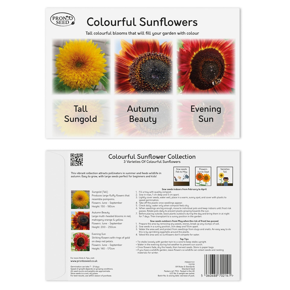 image 1 of Pronto Seed Sunflower Bumper Pack - 6 Varieties, Colourful and Yellow Sunflowers for Pots and Borders