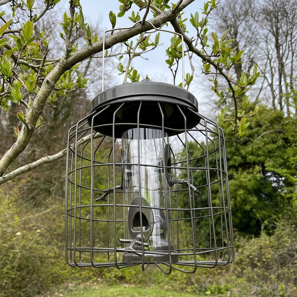 image 1 of Heavy Duty Squirrel Proof Hanging Bird Seed & Nut Feeders (Set of 2)