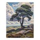 image 3 of Lone Tree Dartmoor Devon Landscape England Black Framed Wall Art Print A4
