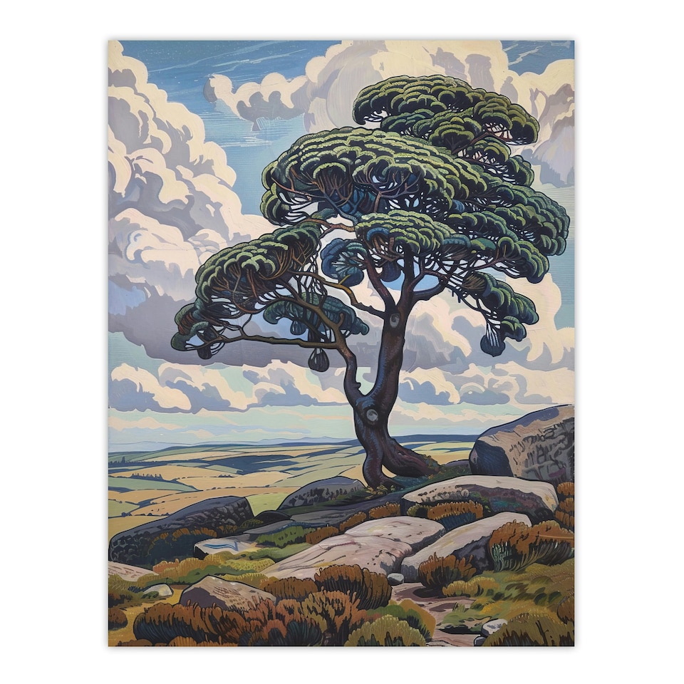 image 1 of Lone Tree Dartmoor Devon Landscape England Black Framed Wall Art Print A4