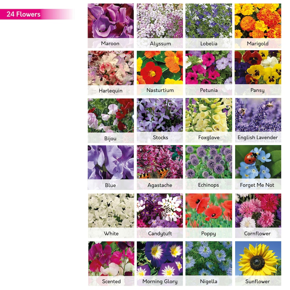 image 1 of Pronto Seed Gardeners Collection - 69 Flower, Herb & Vegetable Seeds in Jute Gift Bag - 7,540 Seeds - Gift for Gardeners